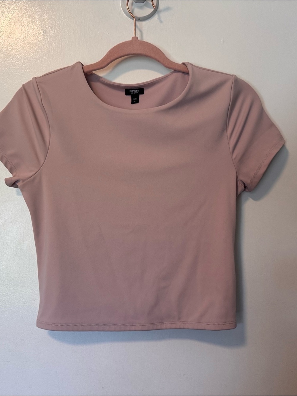 Express Women's Short Sleeve Crewneck Top - Dusty Rose